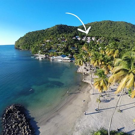 Oasis Marigot Otel Dış mekan fotoğraf